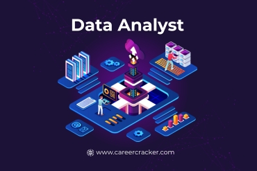 Data Analyst
